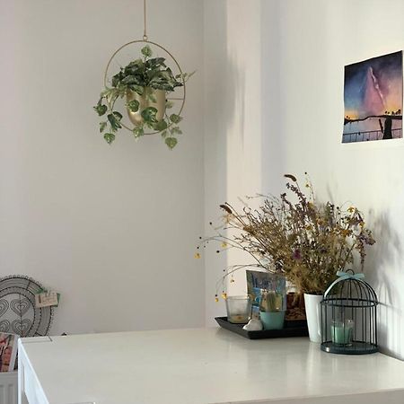 Super Logement Cosy, A Deux Pas Du Tram نانت المظهر الخارجي الصورة